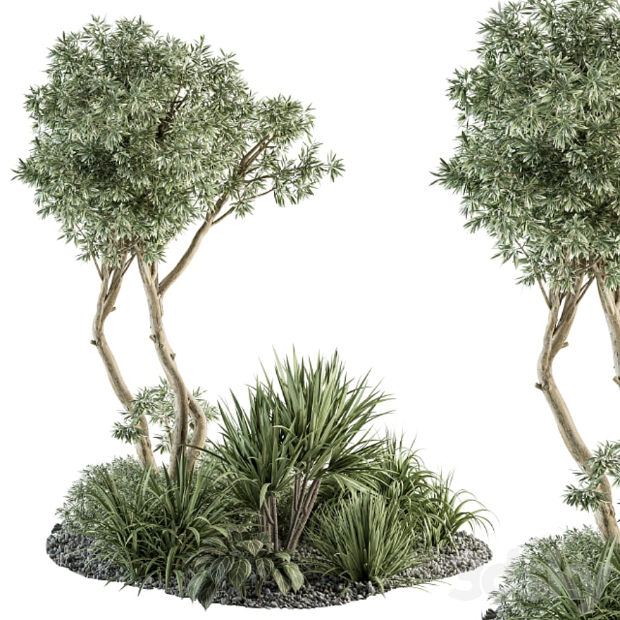 Needle tree and Bush - Outdoor Garden Set 305 , , , , , , , , , , , , ,
