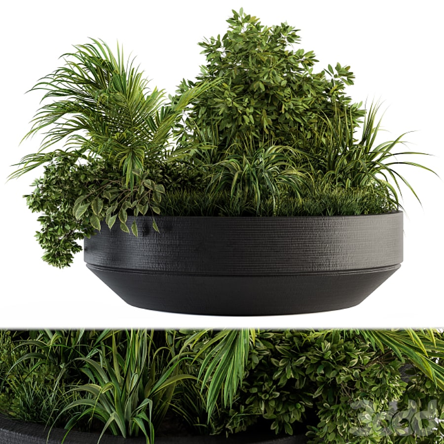 Outdoor Plants tree in Concrete Pot - Set 144