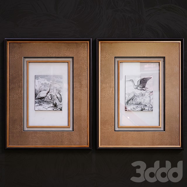 Antique Birds pictures