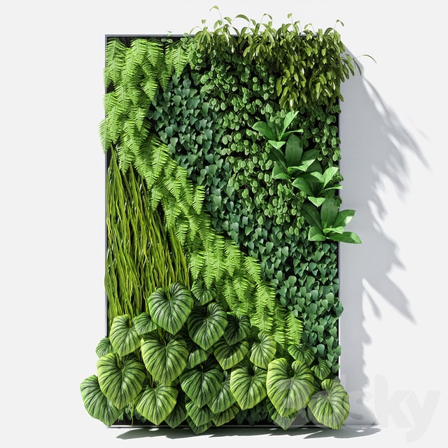vertical garden garden