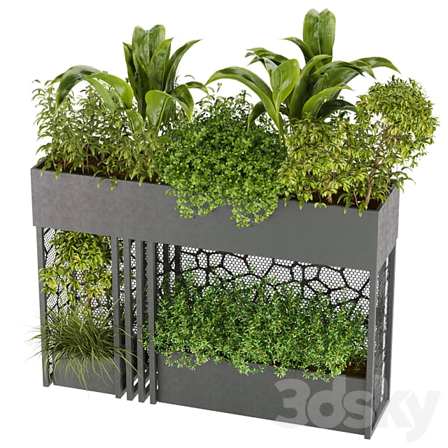 Collection plant vol 241