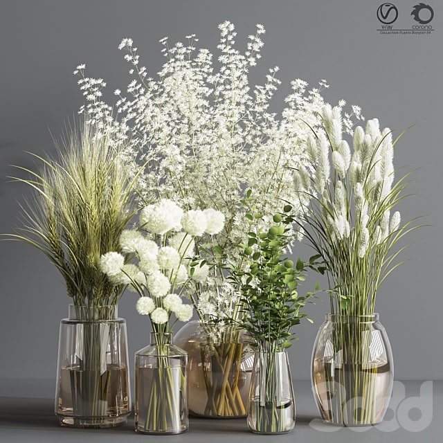 Collaction_Plants_Bouquet_04
