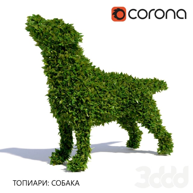 Topiary Dog Dog