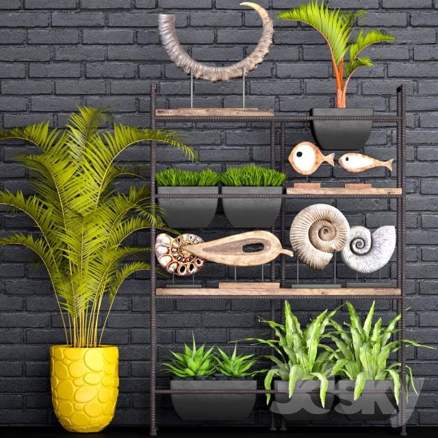 Decorative set. 1. Black brickwork, tusk, horn, palm tree, ammonite, figurine, assplenium, loft, shelf with decor, rack