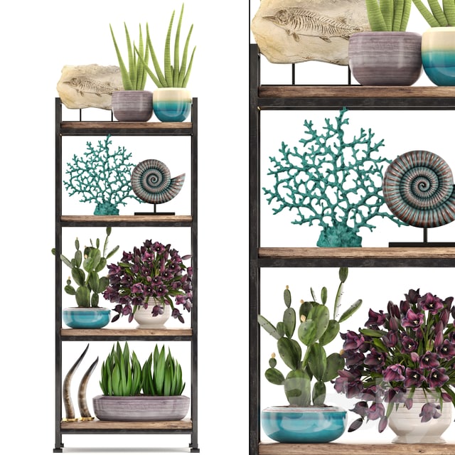 Decorative set. 7th. Shelf, decor, coral, tulips, shelf with flowers, horn