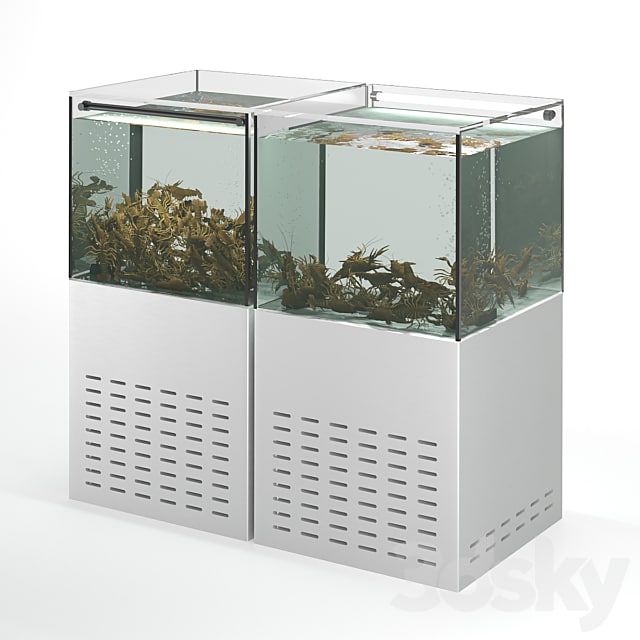 Crayfish aquarium , , , , , ,
