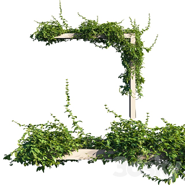 Vines on Wall 01 , , , ,