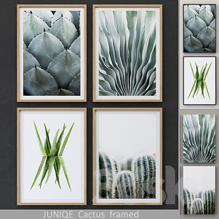 Cactus framed