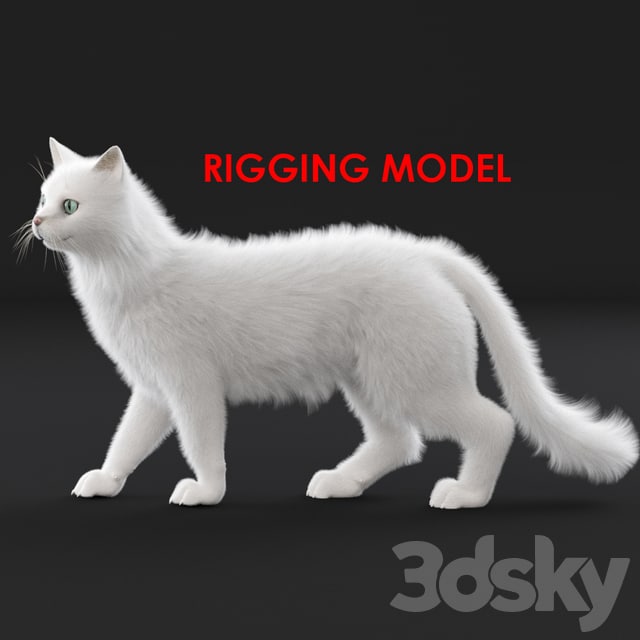 White cat