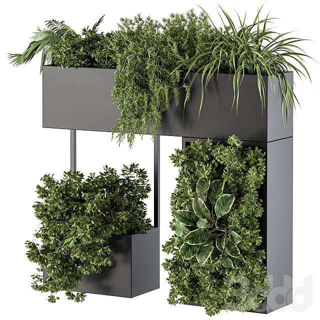 Plant Box on wall - indoor Plants 300