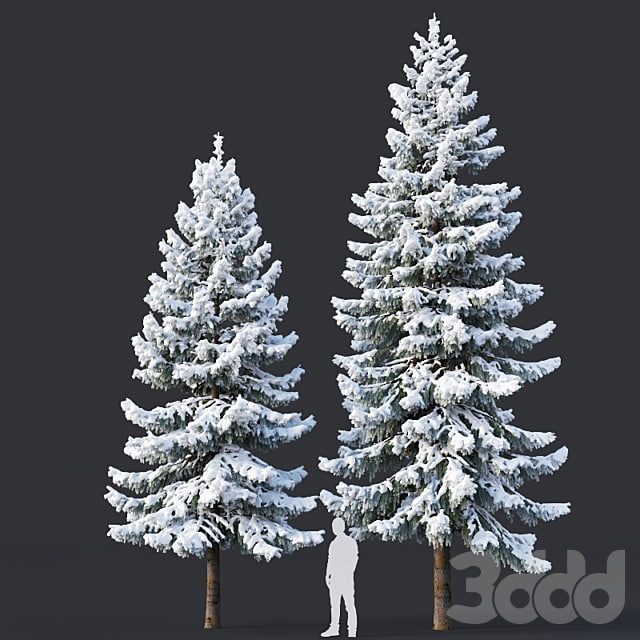 Spruce Two sizes H8-10m. Modular branches