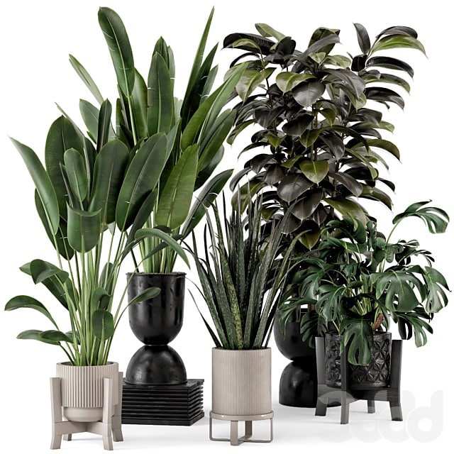 Indoor Plants in Ferm Living Bau Pot Large - Set 583
