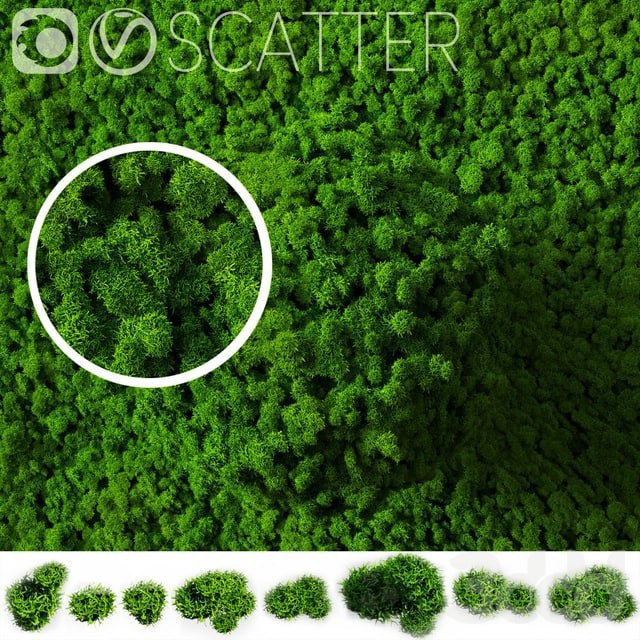 stabilized moss for scatter Plants Fitowall , , , , , , , , ,