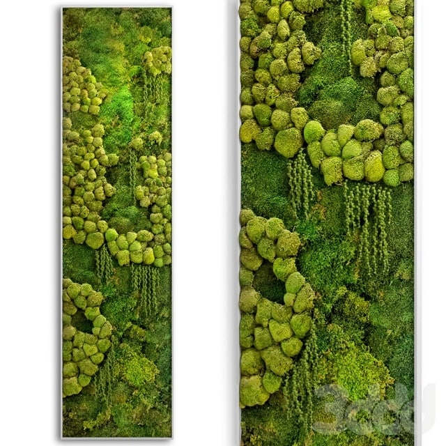 panel jungle Plants Fitowall , , , , , , , , , , , ,