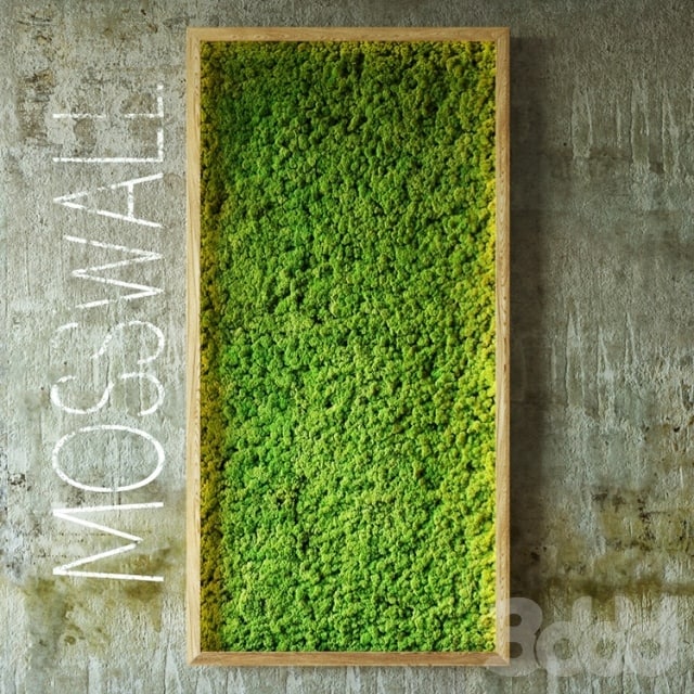 Moss wall Plants Fitowall , , , , ,