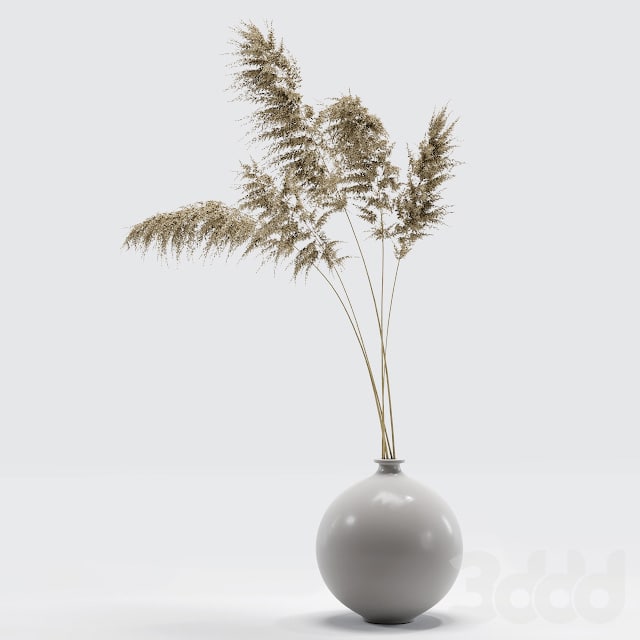 Vase with dried flowers 0002