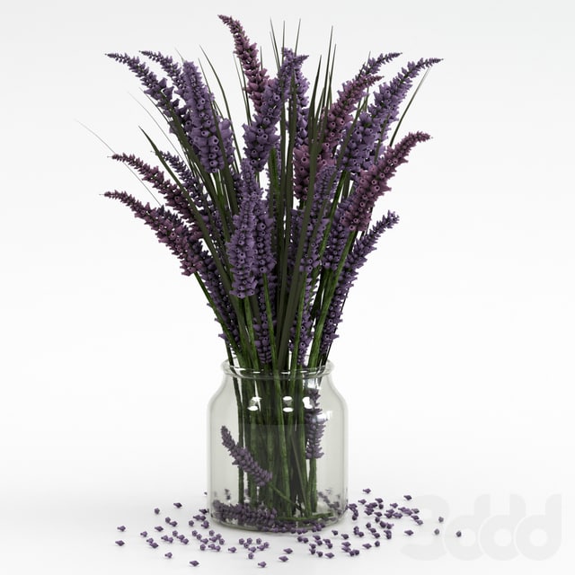 Bouquet of lavender