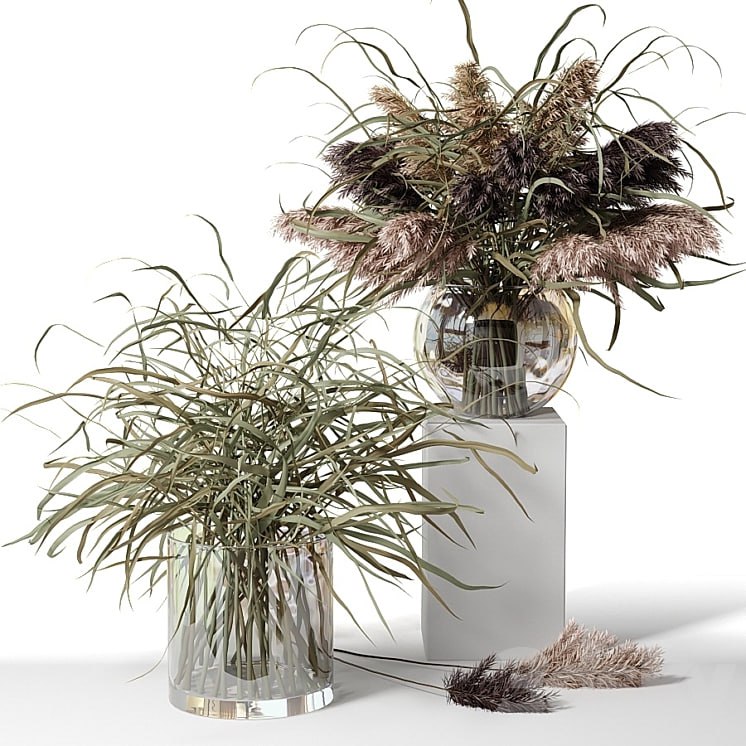 Dry herb bouquets in glass vases