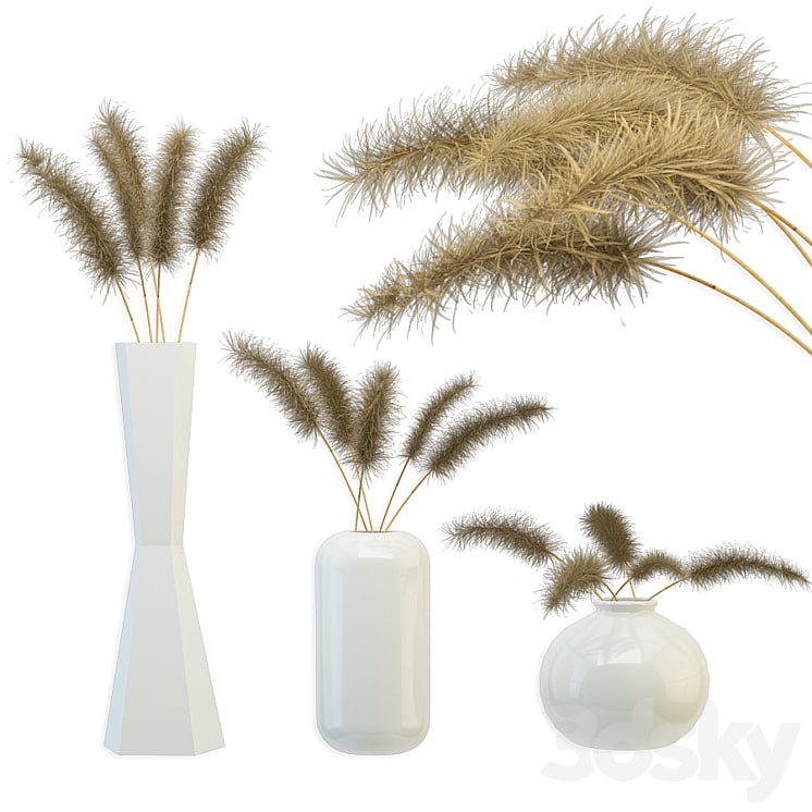 Bouquet of dried flowers