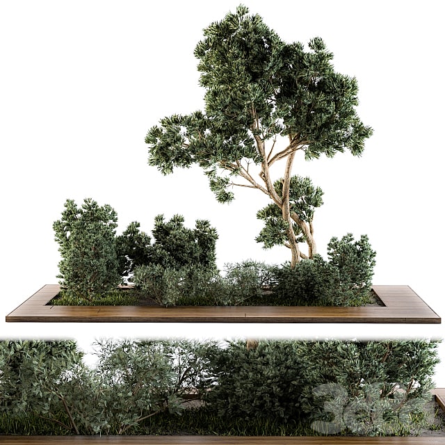 Garden set bush and Tree - Garden Set 06