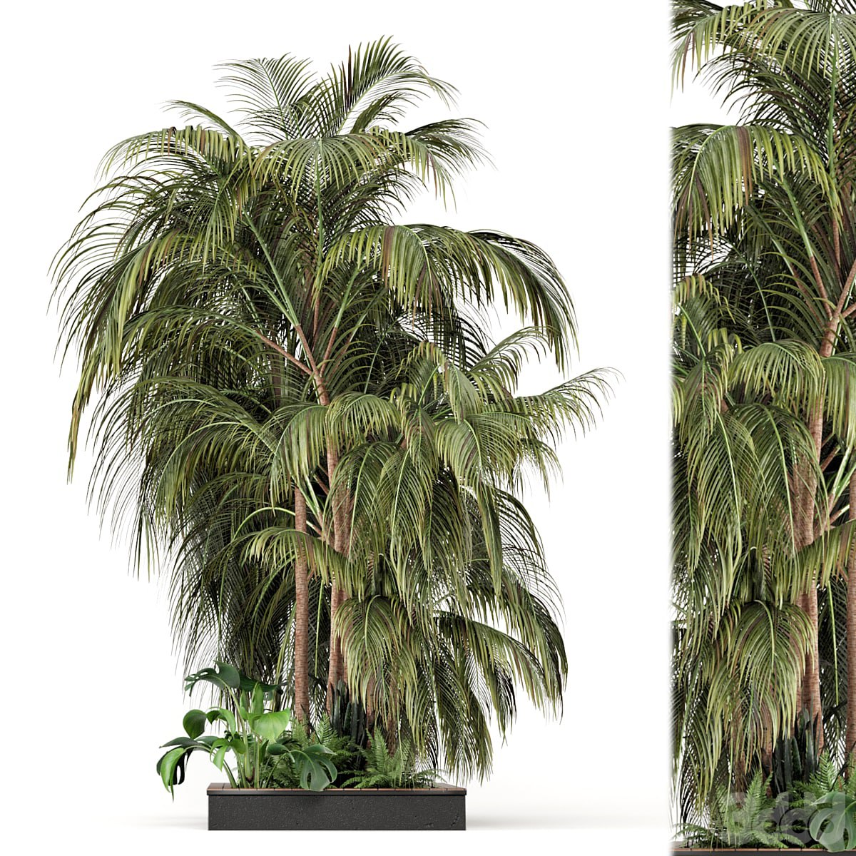 Outdoor Garden set bush and Tree - Garden Set 126