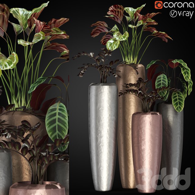 Plants collection 272 Fleur ami LOFT