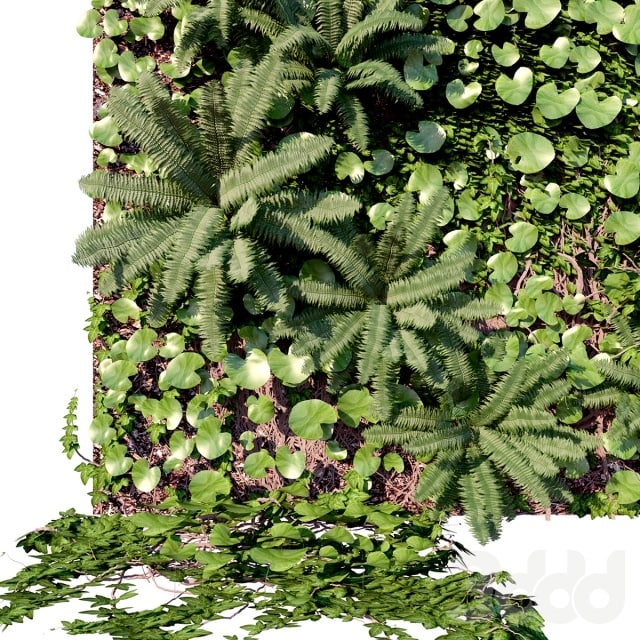 Wall decor panel Vertical Garden Plants/ Fitowall