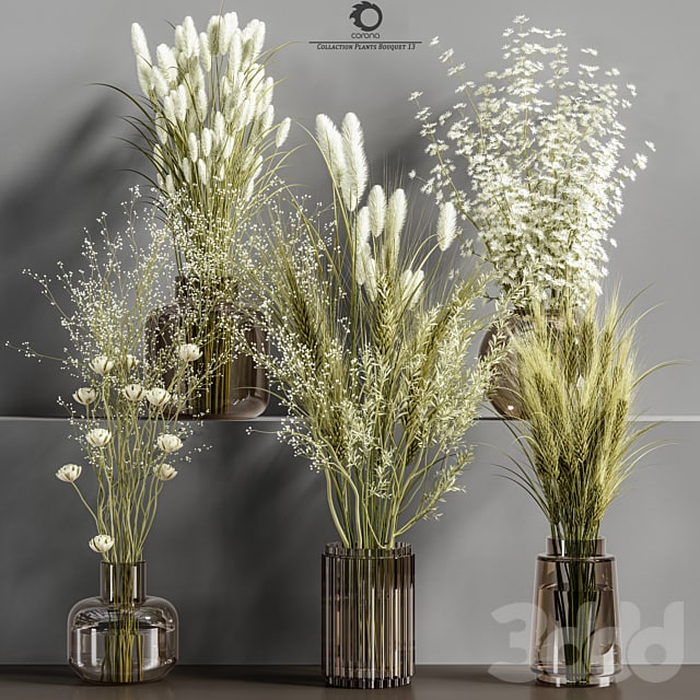 Collaction_Plants_Bouquet_13