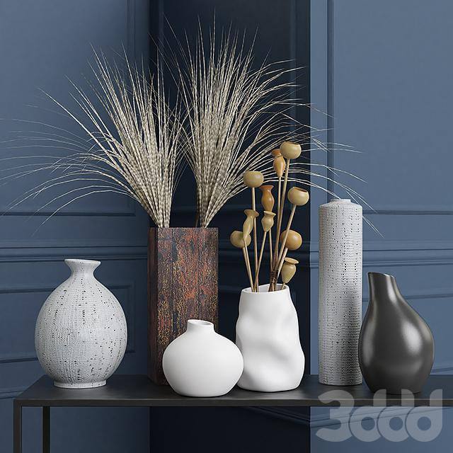 Vases and dried flowers