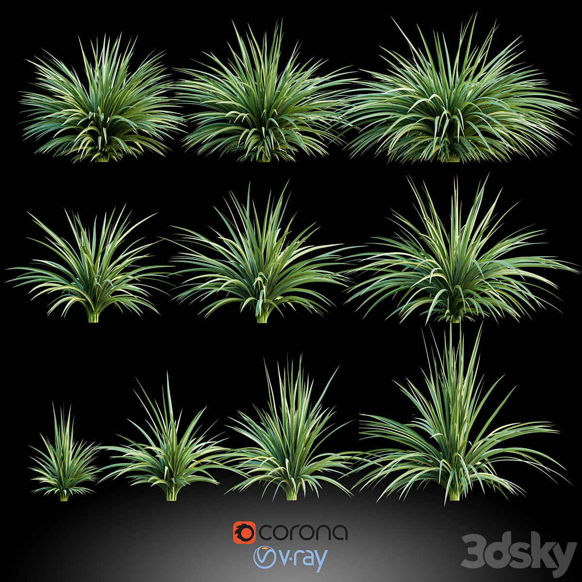 Plants for the exterior