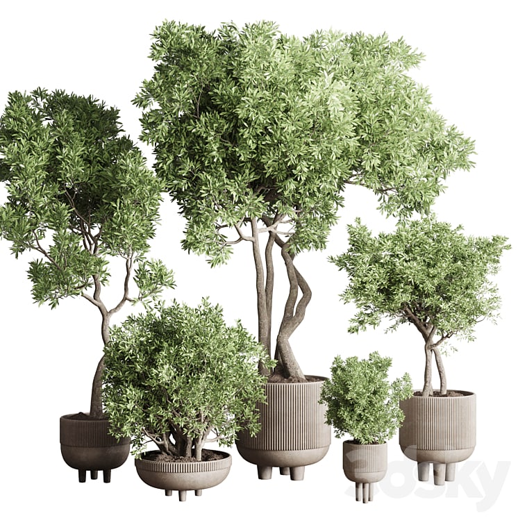 Collection Indoor Outdoor plant 118 vase concrete pot tree