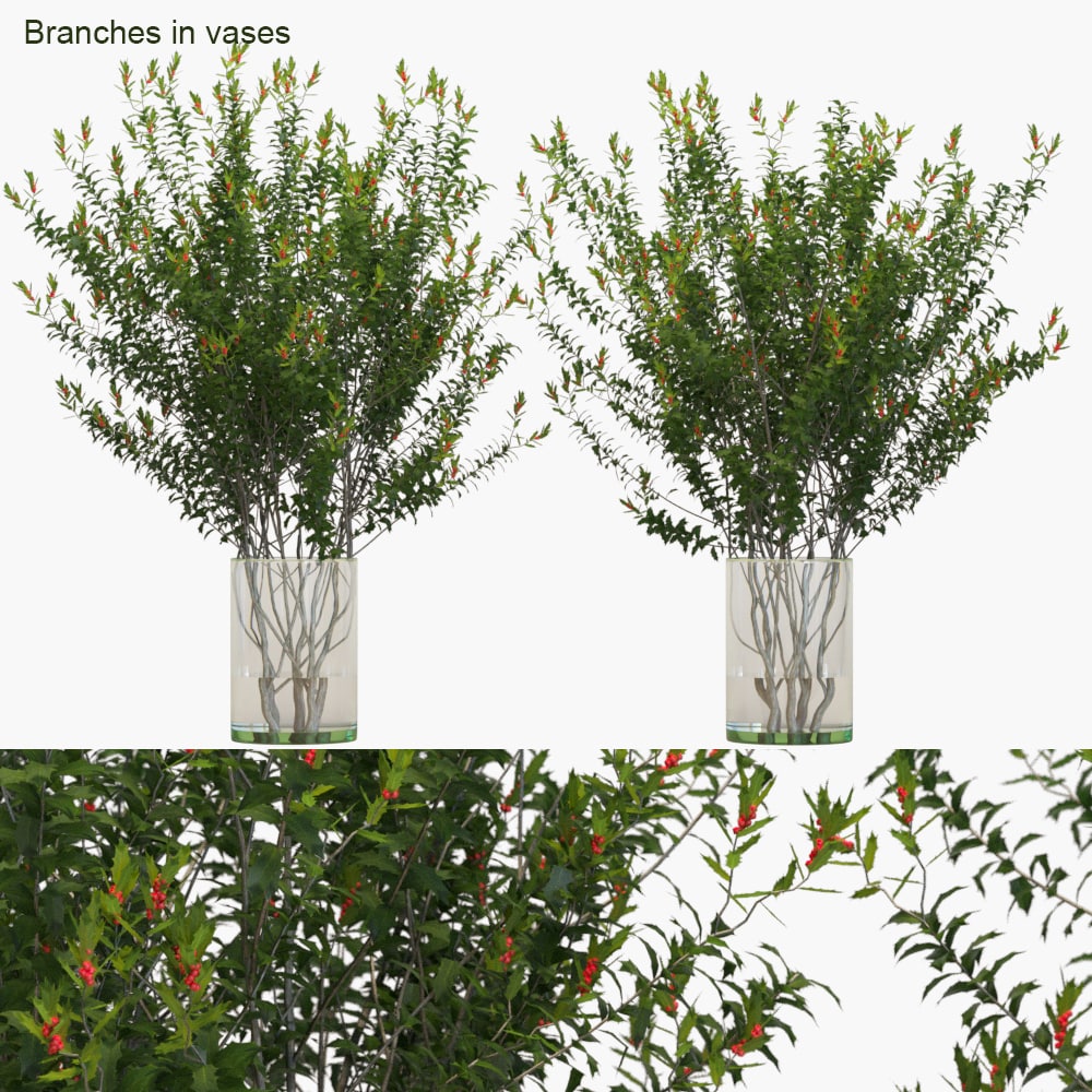 Branches in vases: Dragon Lady