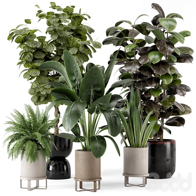 Indoor Plants in Ferm Living Bau Pot Large - Set 299