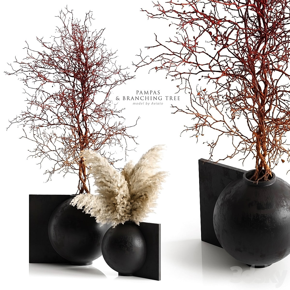 Pampas & branching tree