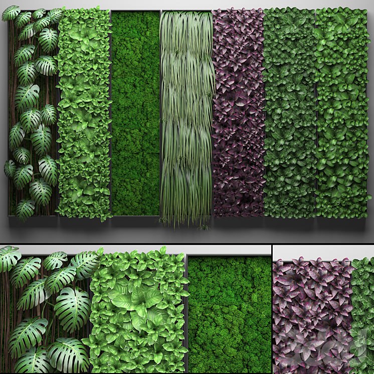 Vertical garden separate modules, phytowall, phytomodule, wall decor, landscaping