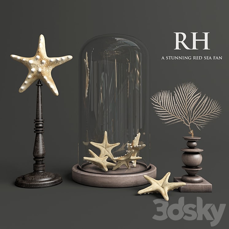 A stunning red sea fan