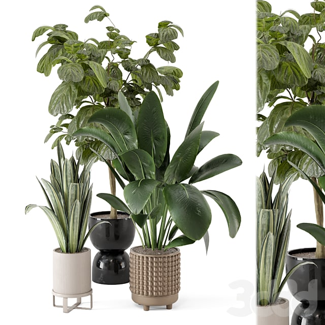 Indoor Plants in Ferm Living Bau Pot Large - Set 1044