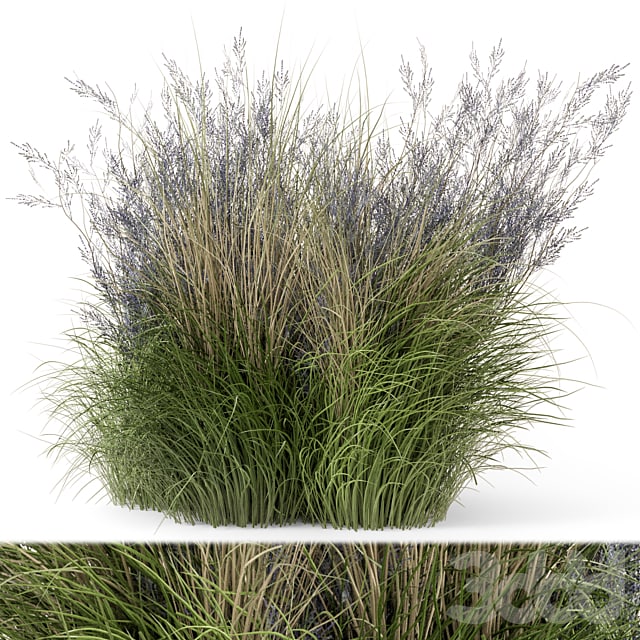 Outdoor Plants Bush -Bush Set 660