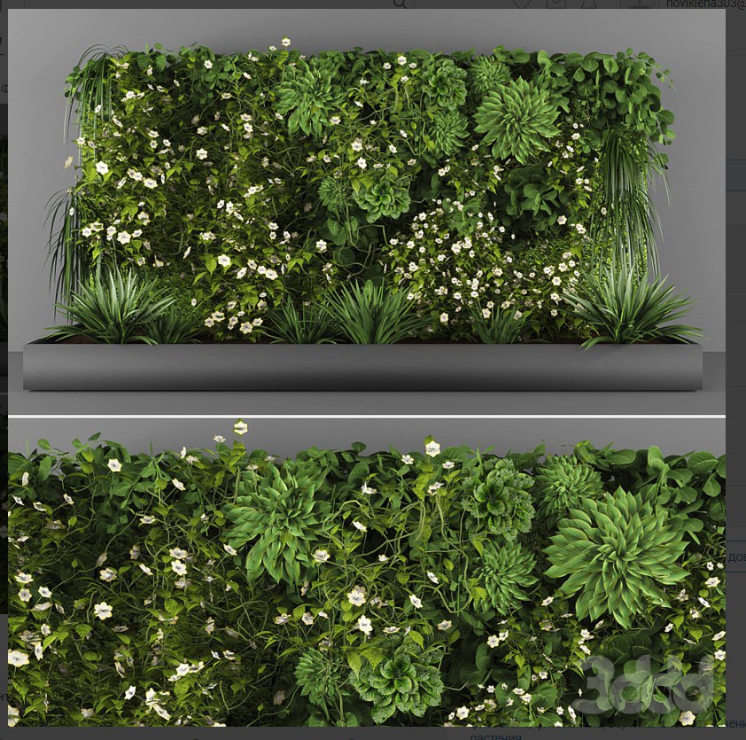 Vertical garden 084