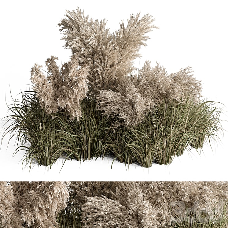 Mixed Pampas Plant Bush Set 95