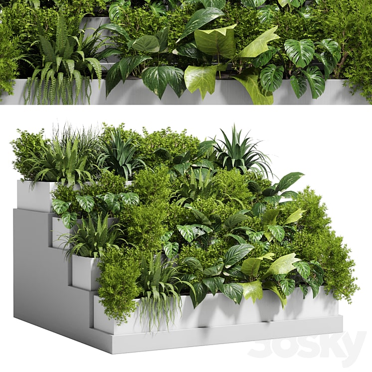 Stairs plant - Collection outdoor indoor plant 78 concrete vase pot fern bush grass