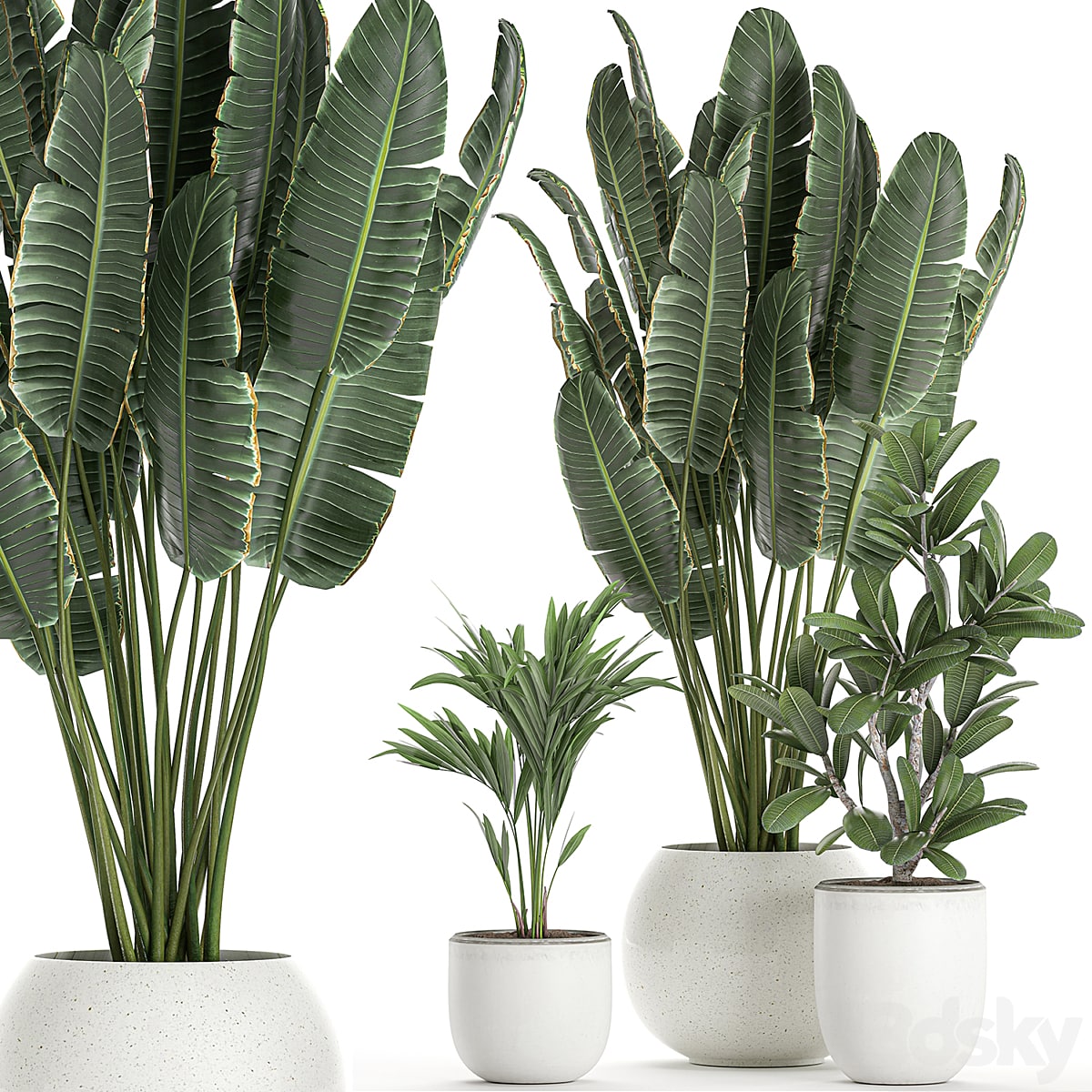 Plant collection 659. Banana, strelitzia, white flowerpot, flowerpot, Scandinavian style, interior, round flowerpot