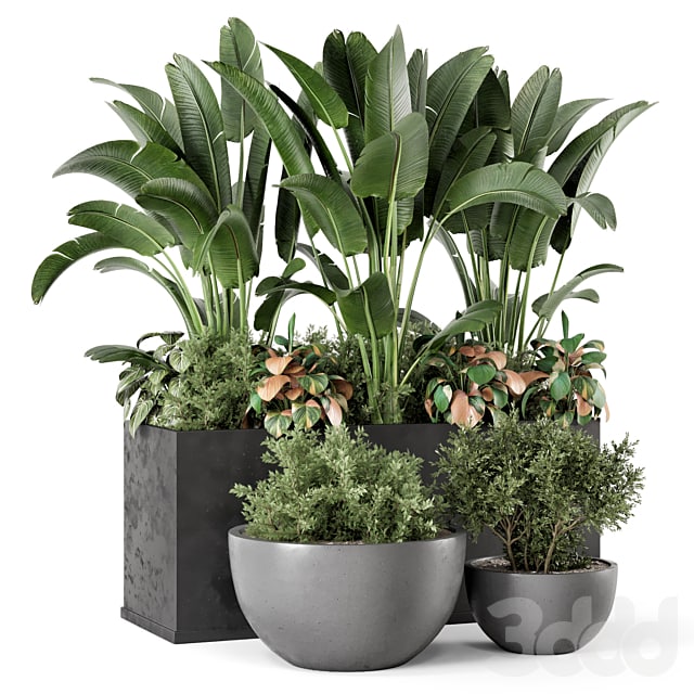 Outdoor Garden set Bush and Tree - Garden Set 1144