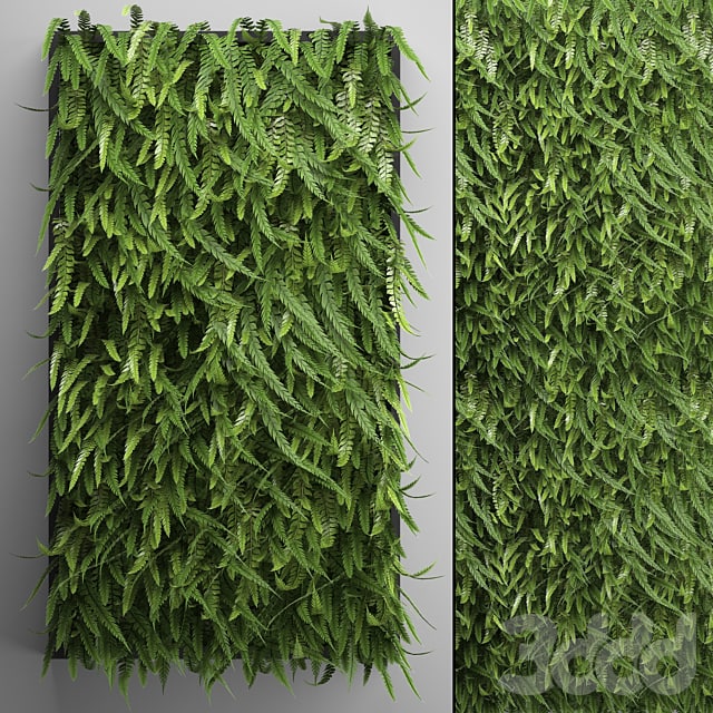 vertical garden