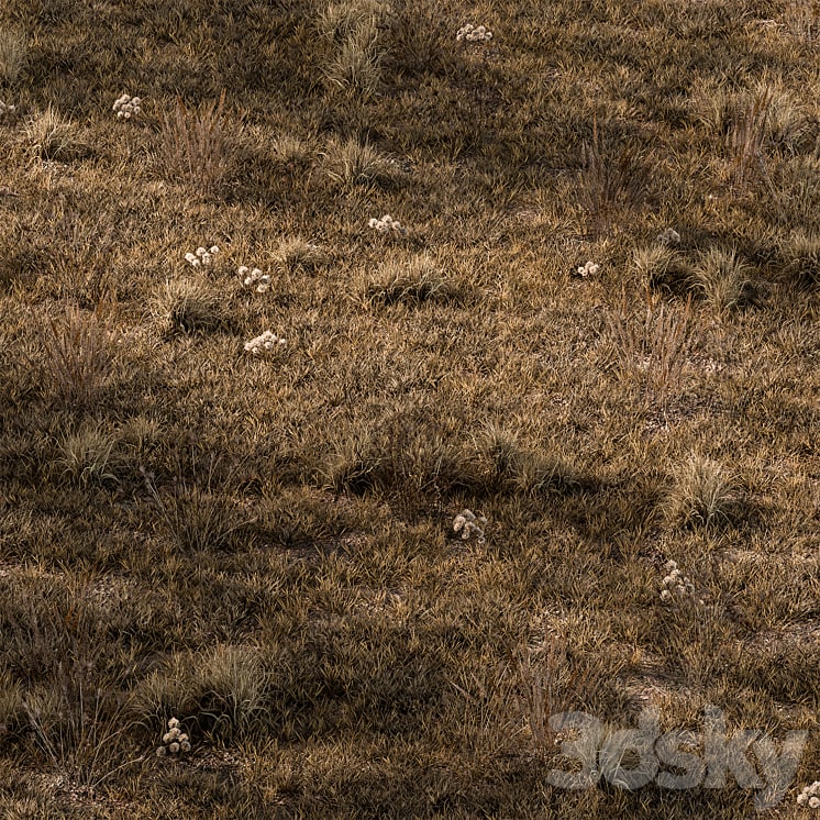 Dry Grass Set 16