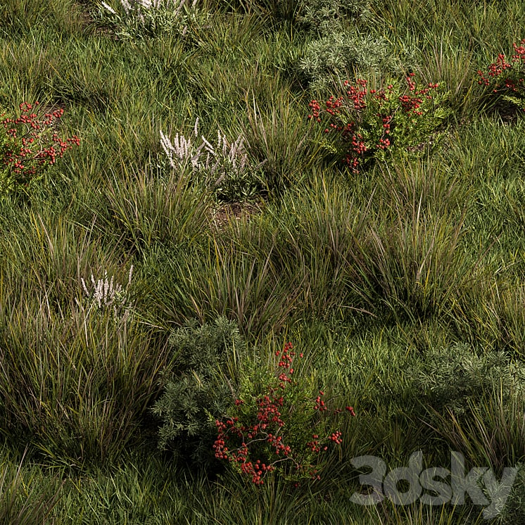 Nature Meadow - Grass Set 17