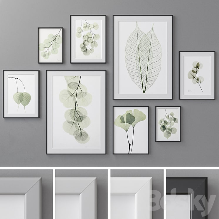 Photo Frames Set 462