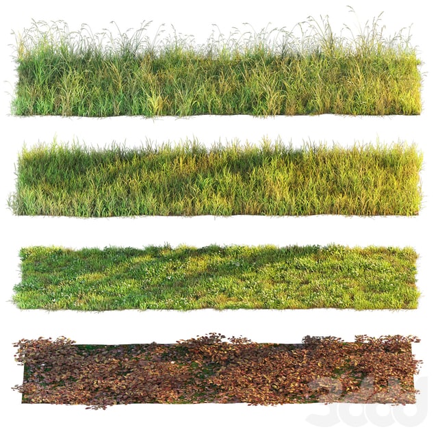 Set of grass and leaves.