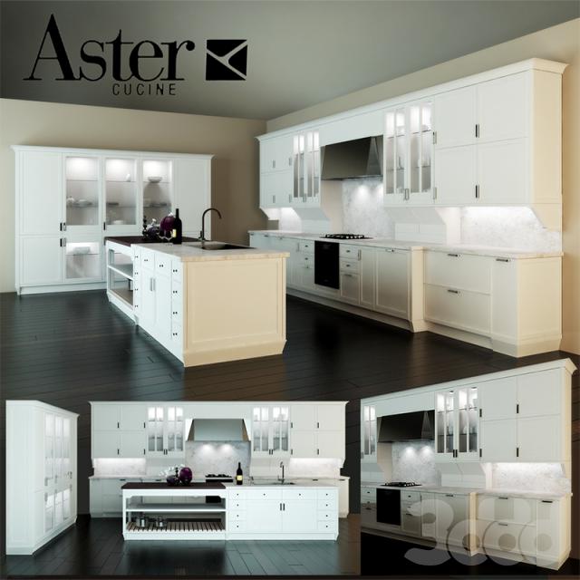 Aster - Laccati.Avenue