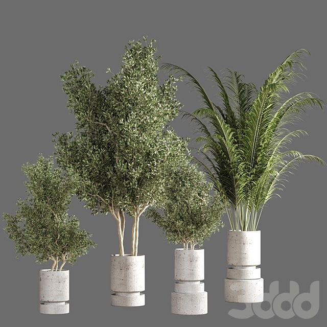 set of indoor plants 19